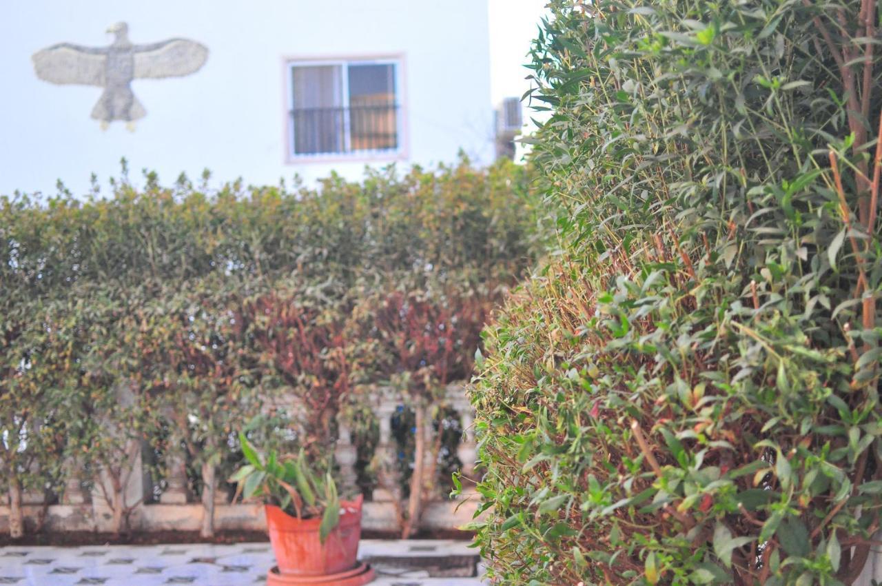 Morning Star Guesthouse Sharm El Sheikk Exterior foto