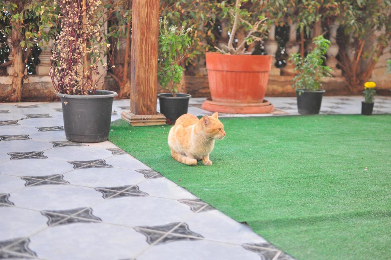 Morning Star Guesthouse Sharm El Sheikk Exterior foto