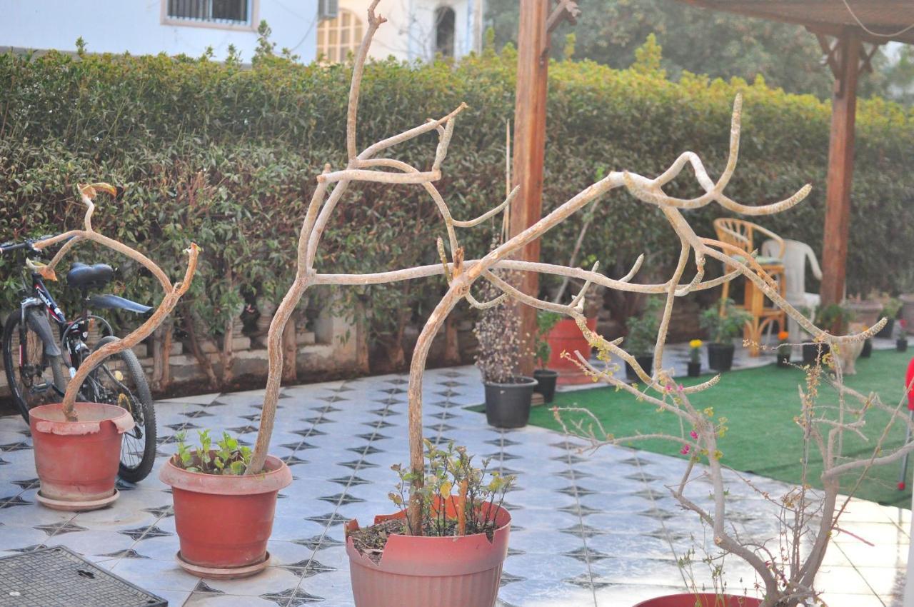 Morning Star Guesthouse Sharm El Sheikk Exterior foto